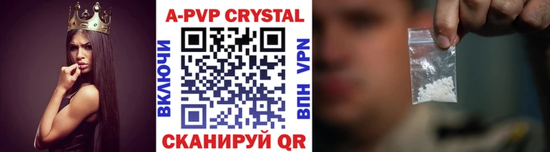 закладка  Лермонтов  APVP СК 