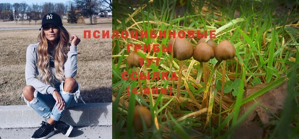 спайс Балахна