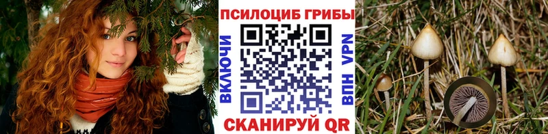 Псилоцибиновые грибы GOLDEN TEACHER  Лермонтов 